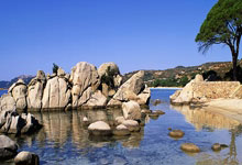 90分vs即时比分滚球二合一是什么意思，该怎么理解？